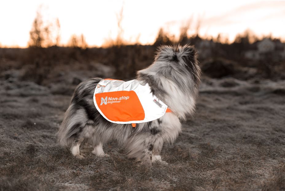 Non-stop Dogwear Reflection Blanket - Image 2