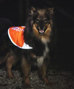 Non-stop Dogwear Reflection Blanket - Image 4