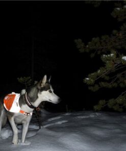 Non-stop Dogwear Reflection Blanket - Image 5
