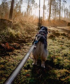 Alternative view of Non-stop Dogwear Touring Bungee - 1.2 m.