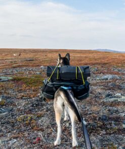 Non-stop Dogwear Touring Bungee - Image 12