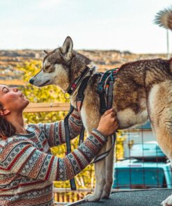 Non-stop Dogwear Touring Bungee - Image 13