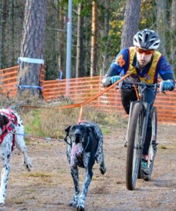 Alternative view of Non-stop Dogwear Bungee Leash Double