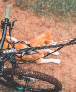 Alternative view of Non-stop Dogwear Cykelantenne