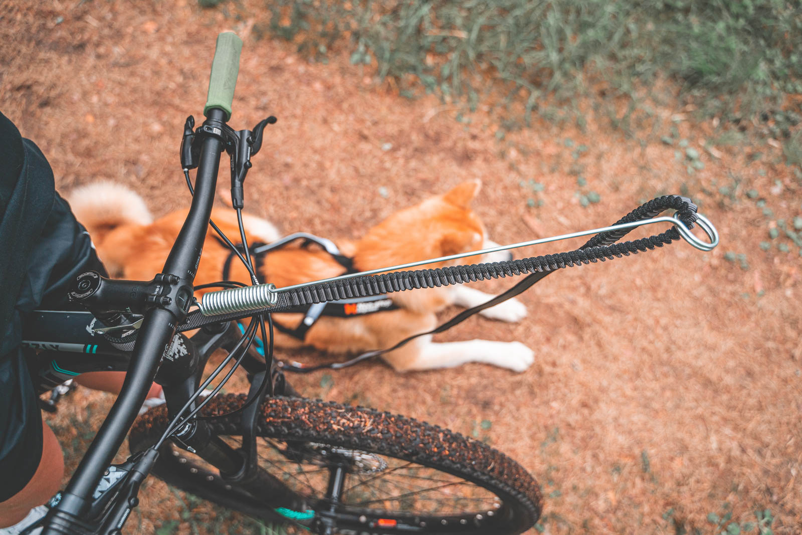 Non-stop Dogwear Cykelantenne - Image 2