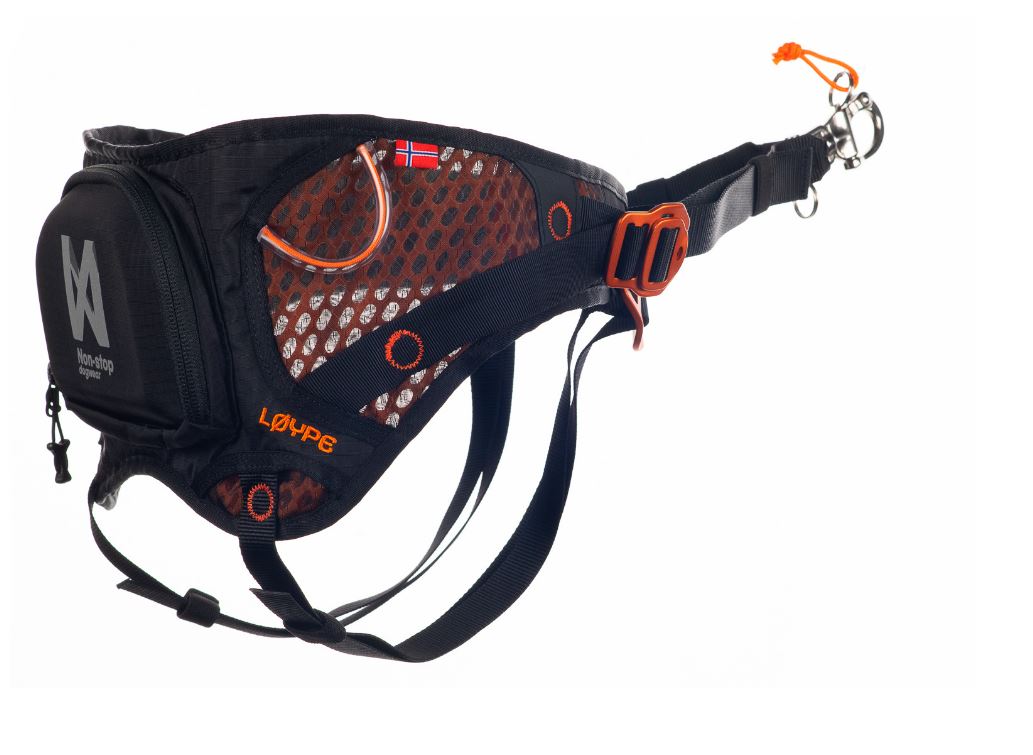Non-stop Dogwear Løype Belt