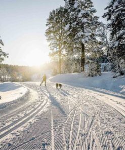 Non-stop Dogwear Løype Belt - Image 9