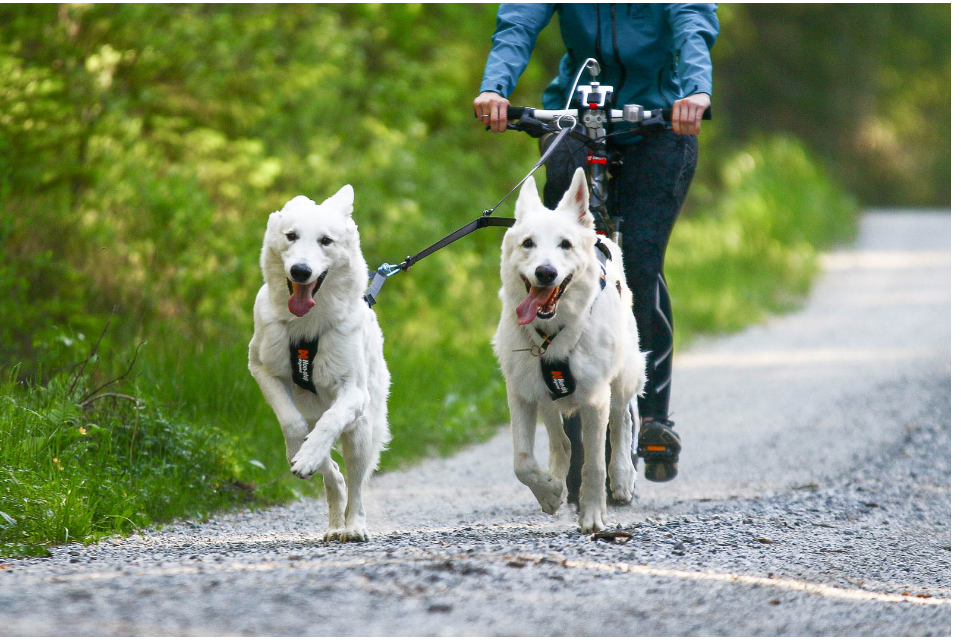 Non-Stop Dogwear Touring Double - 2 hunde - Image 8
