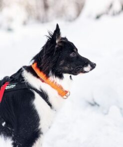 Non-stop Dogwear Safe Collar - Image 3