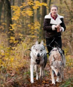 Non-Stop Dogwear Touring Double - 2 hunde - Image 12