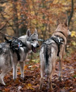 Non-Stop Dogwear Touring Double - 2 hunde - Image 11