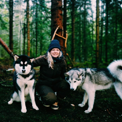 Vandre med hund - Team Qimmiq