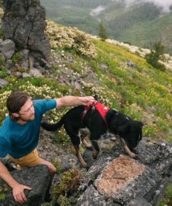 Ruffwear Flagline Harness - Image 18