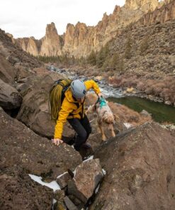 Ruffwear Flagline Harness - Image 19