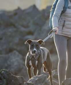 Ruffwear Front Range Sele - Image 10