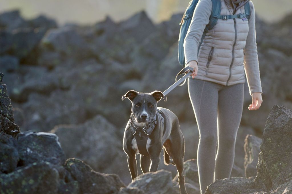 Ruffwear Front Range Sele - Image 10