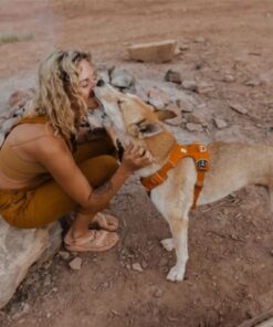 Ruffwear Front Range Sele - Image 9