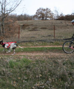 Intro Kickbike Kursus - Image 10
