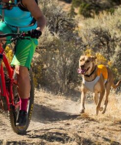 Alternative view of Ruffwear Jet Stream Kølevest, orange