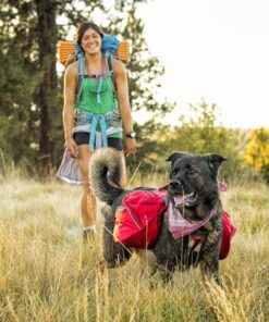 Alternative view of Ruffwear Palisades Rygsæk kløvtaske