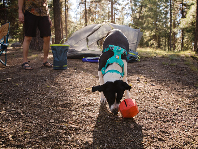 Ruffwear Front Range Sele - Image 8