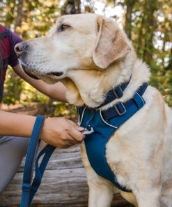 Alternative view of Ruffwear Front Range Sele