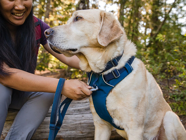 Ruffwear Front Range Sele - Image 2