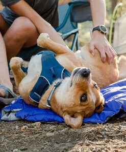 Ruffwear Front Range Sele - Image 12