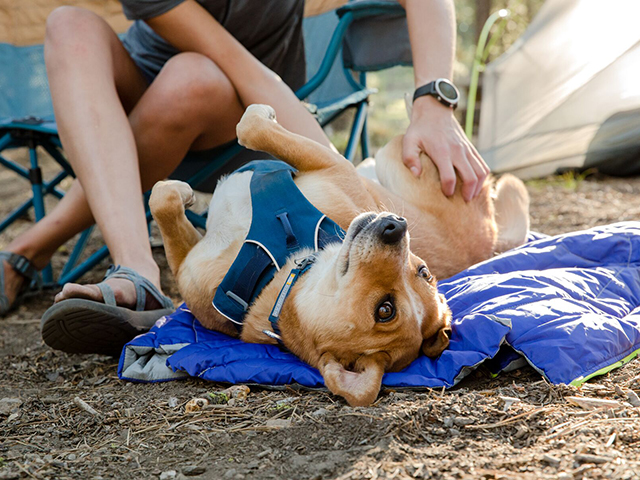 Ruffwear Front Range Sele - Image 12