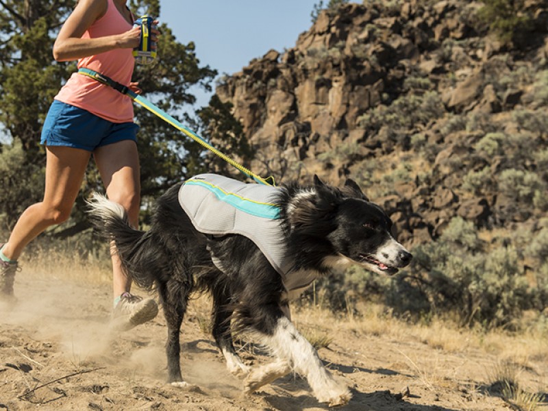 Ruffwear Swamp Cooler vest - Image 5