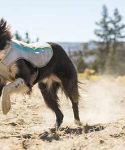 Ruffwear Swamp Cooler vest - Image 6