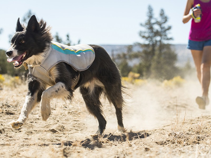 Ruffwear Swamp Cooler vest - Image 6