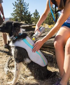 Ruffwear Swamp Cooler vest - Image 4