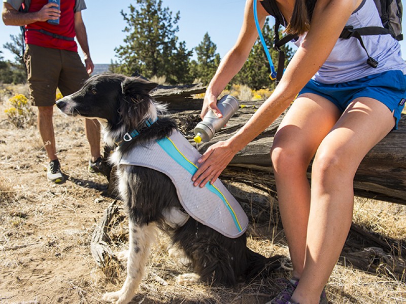 Ruffwear Swamp Cooler vest - Image 4
