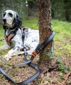 Non-stop Dogwear Touring Bungee Adjustable - Image 3