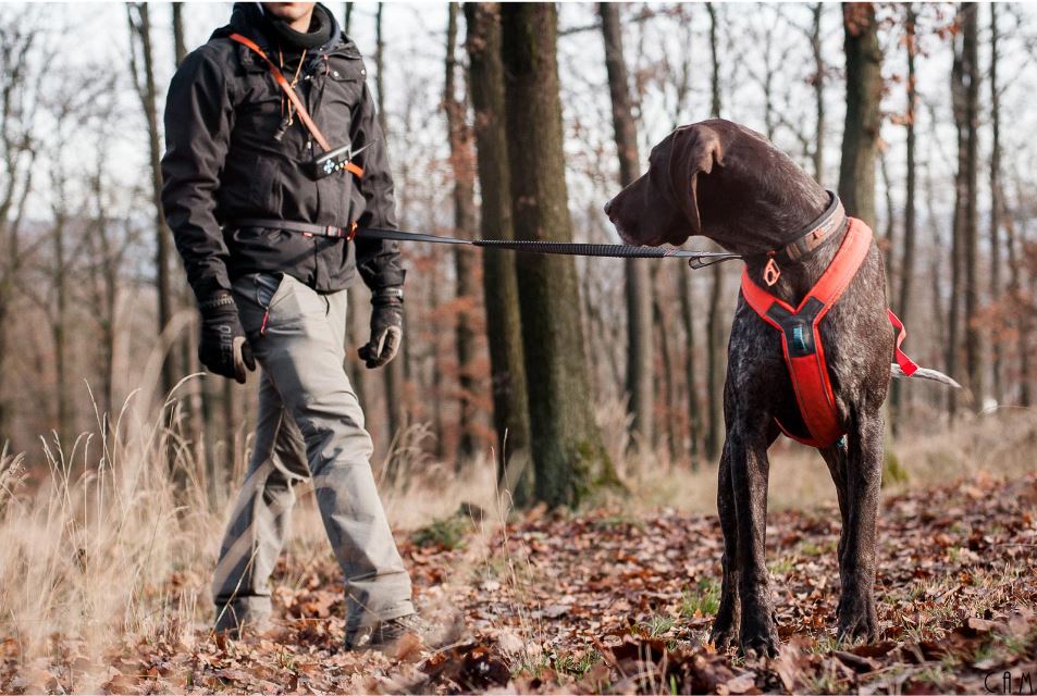 Non-stop Dogwear Touring Bungee Adjustable - Image 2
