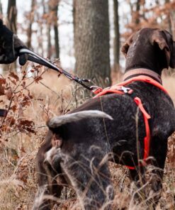Non-stop Dogwear Touring Bungee Adjustable - Image 10