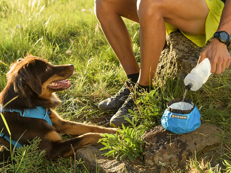 Ruffwear Trail Runner Ultralight Bowl - Image 6