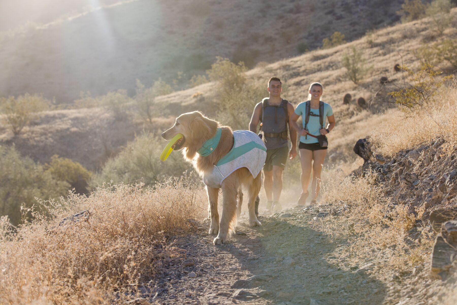 Ruffwear Swamp Cooler vest - Image 8