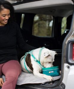 Ruffwear Flagline Harness - Image 6