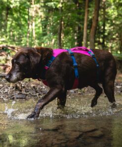 Ruffwear Flagline Harness - Image 13