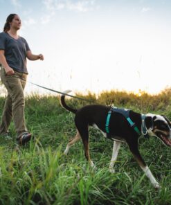 Ruffwear Hi & Light sele - Image 5