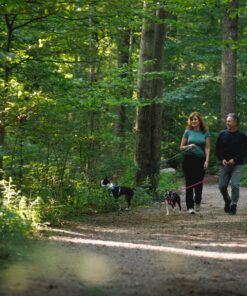 Ruffwear Hi & Light sele - Image 6