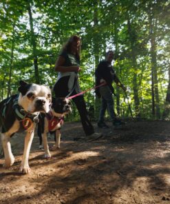 Ruffwear Hi & Light sele - Image 7