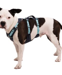 Ruffwear Flagline Harness - Image 7