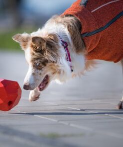 Ruffwear Gnawt-a-Rock - Image 11