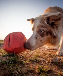 Ruffwear Gnawt-a-Rock - Image 10