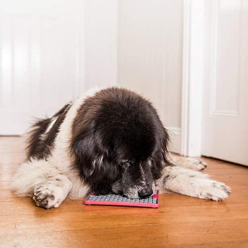 LickiMat Buddy Tuff - Image 2