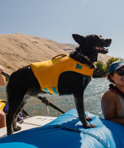Alternative view of Ruffwear Float Coat, Orange