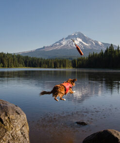 Ruffwear Float Coat, Rød - Image 4